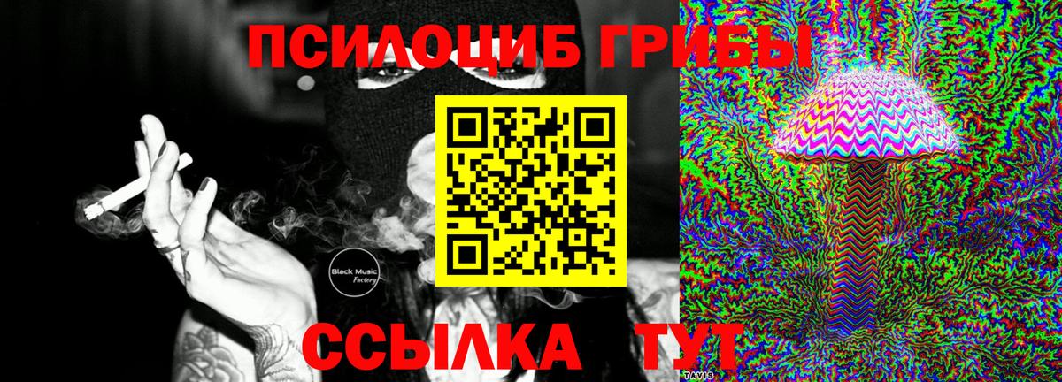 Псилоцибиновые грибы Psilocybe  Галлюциногенные грибы мицелий  Вход с VPN  Усолье-Сибирское 