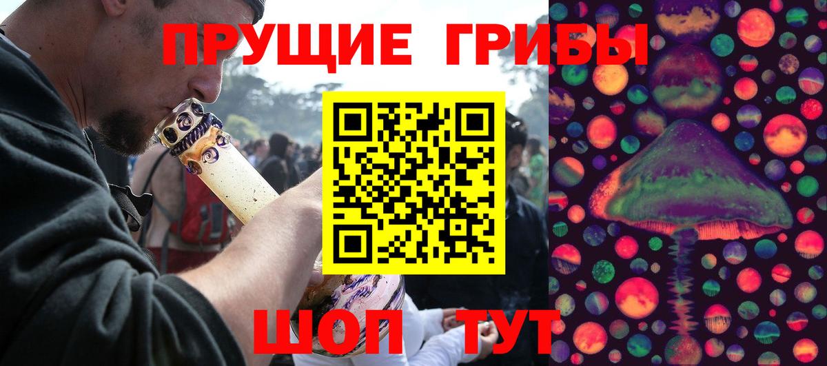 Галлюциногенные грибы Psilocybe Усолье-Сибирское